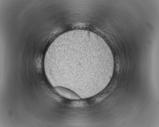 X0000111470708200908241342