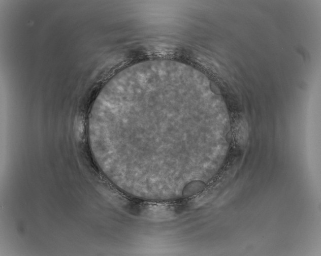 X0000111470709200908241342