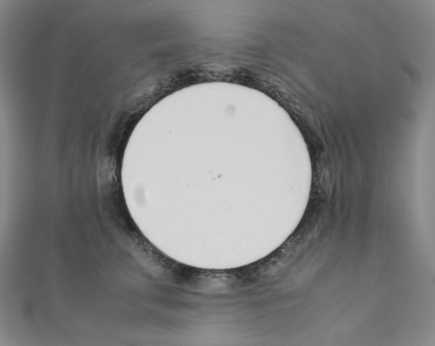 X0000111470711200908241342