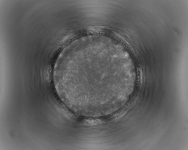 X0000111470712200908241342