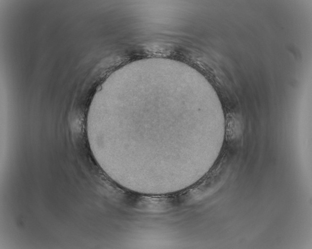 X0000111470713200908241342