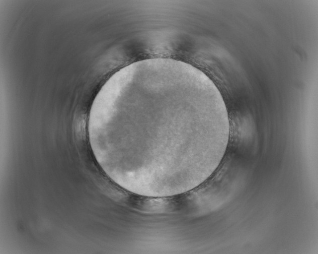 X0000111470717200908241342