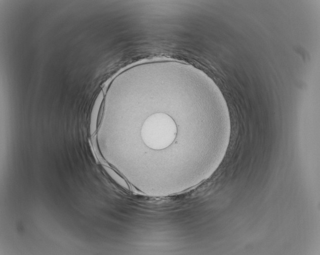 X0000111470720200908241342