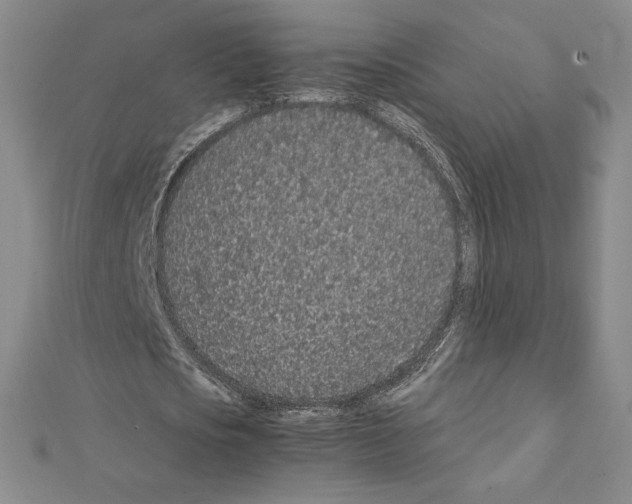 X0000111470721200908241341