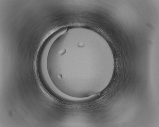 X0000111470726200908241341