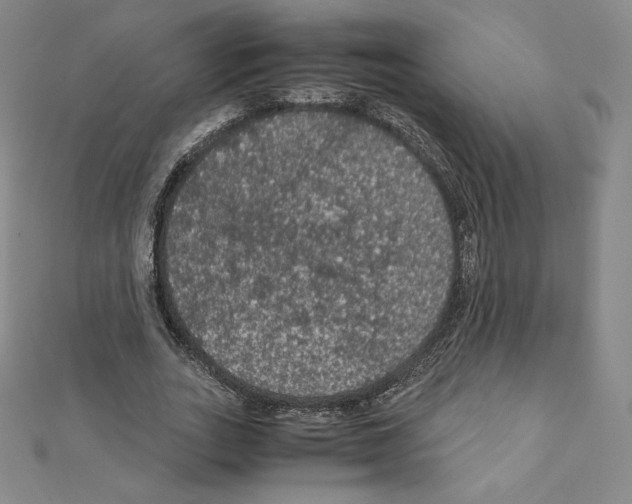 X0000111470727200908241341