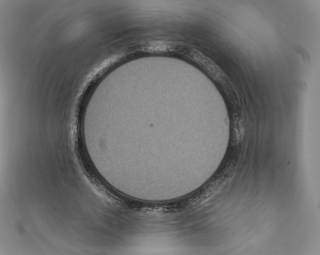 X0000111470728200908241341