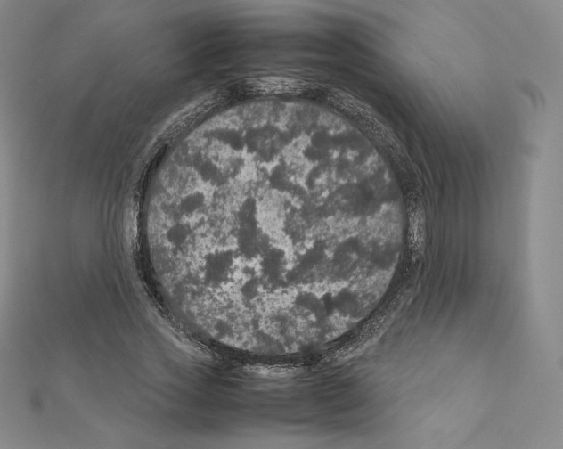 X0000111470733200908241341