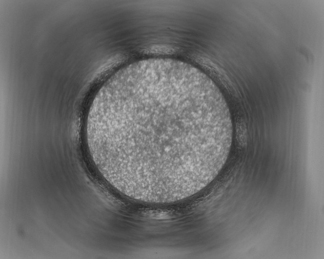 X0000111470735200908241341