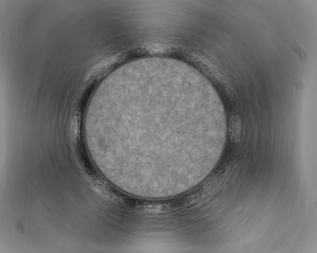 X0000111470740200908241341