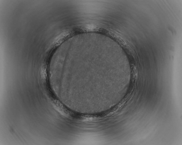 X0000111470746200908241341