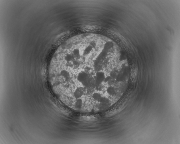 X0000111470749200908241341