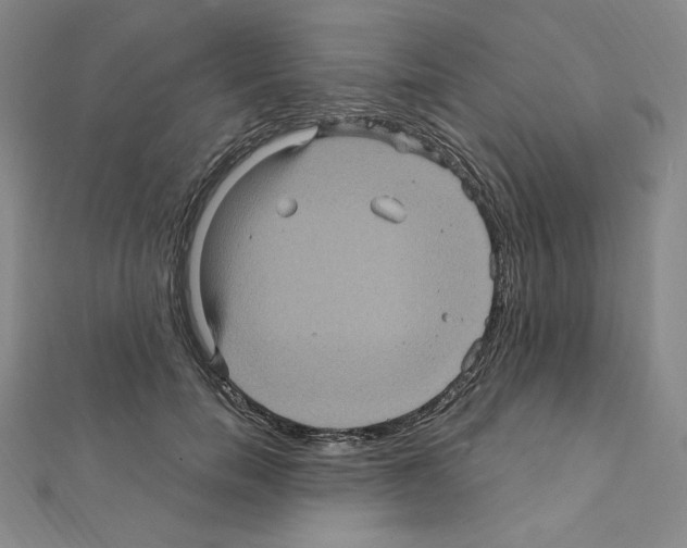 X0000111470750200908241341