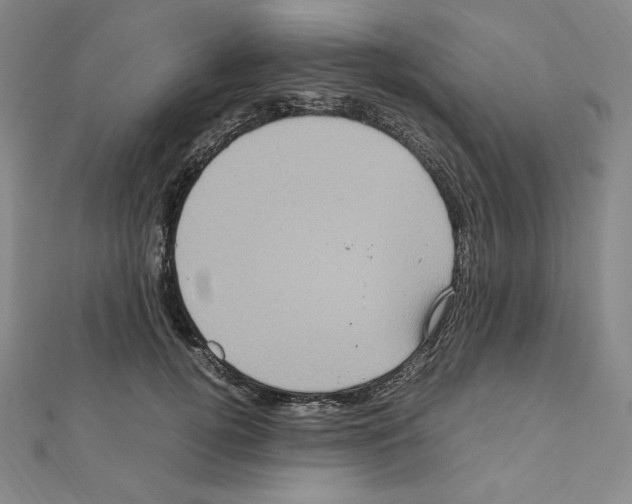 X0000111470752200908241341