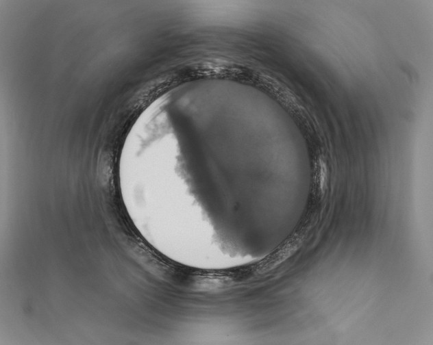 X0000111470754200908241341