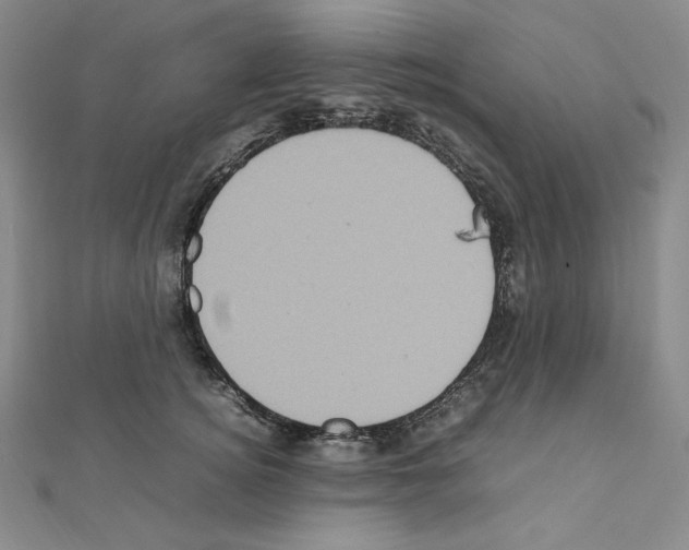 X0000111470756200908241342