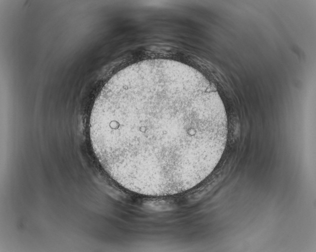 X0000111470759200908241342