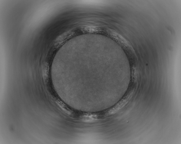 X0000111470760200908241342