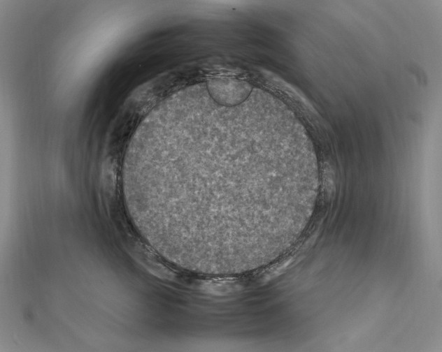 X0000111470761200908241342