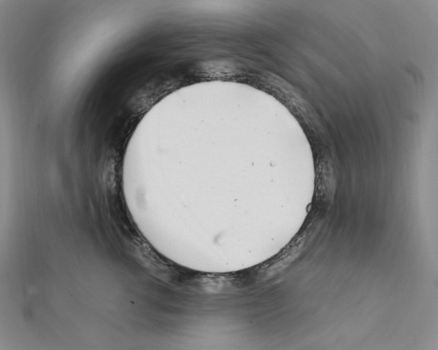 X0000111470762200908241342