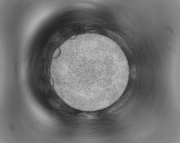 X0000111470763200908241342