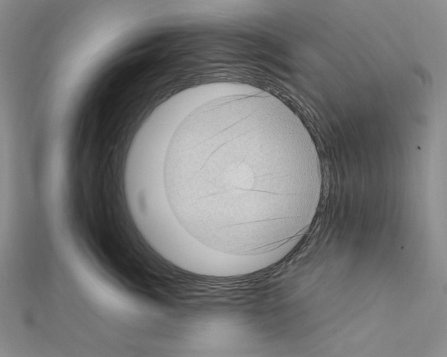 X0000111470764200908241342