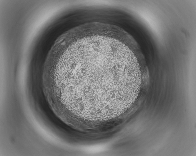 X0000111470765200908241342