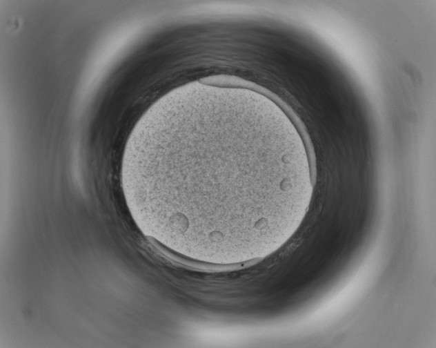 X0000111470766200908241342