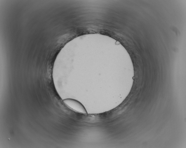 X0000111470768200908241342