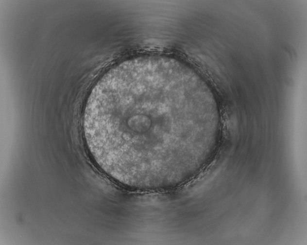 X0000111470769200908241341