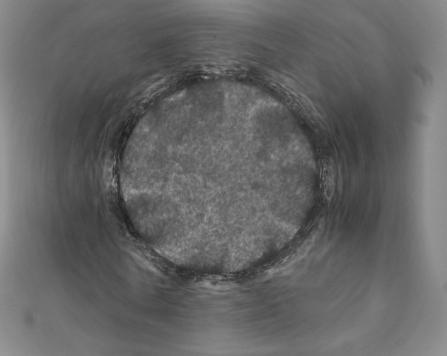 X0000111470770200908241341