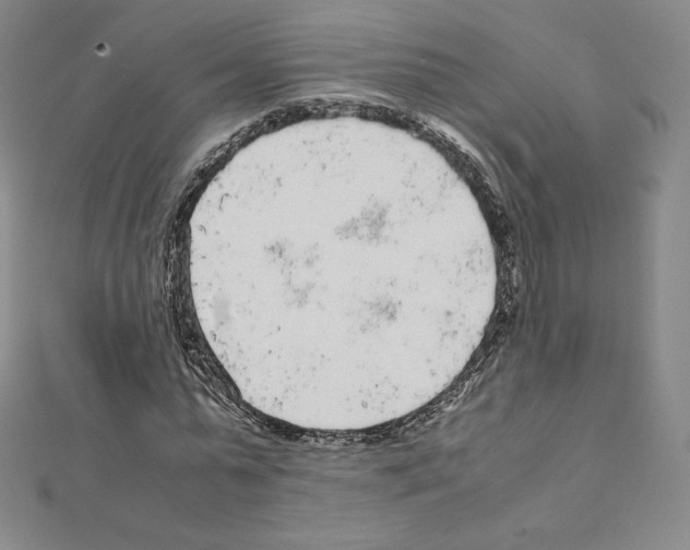 X0000111470775200908241341