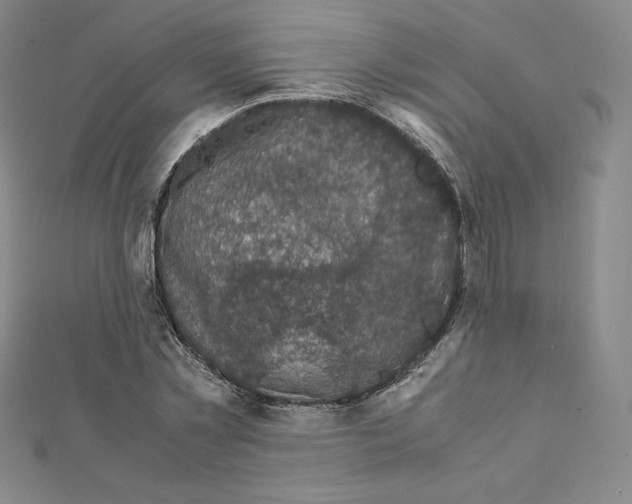 X0000111470781200908241341