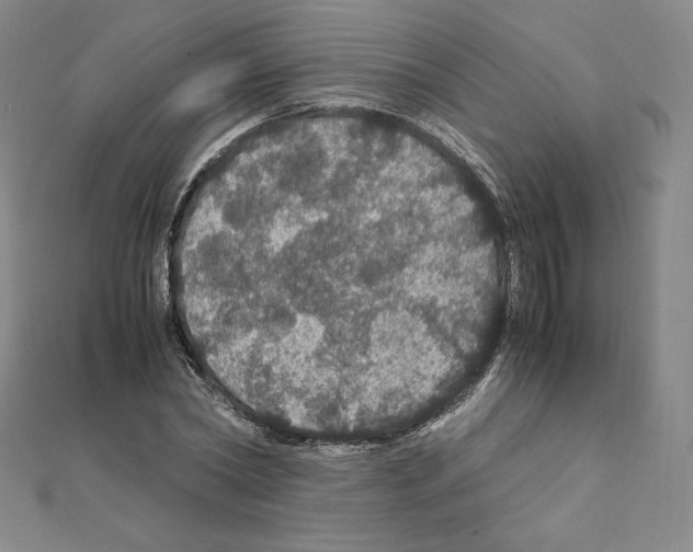 X0000111470782200908241341