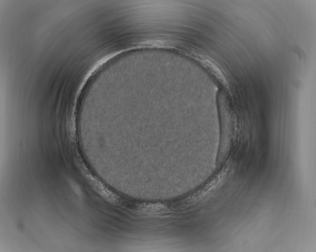 X0000111470784200908241341