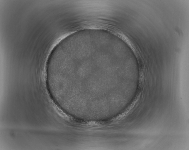 X0000111470787200908241341