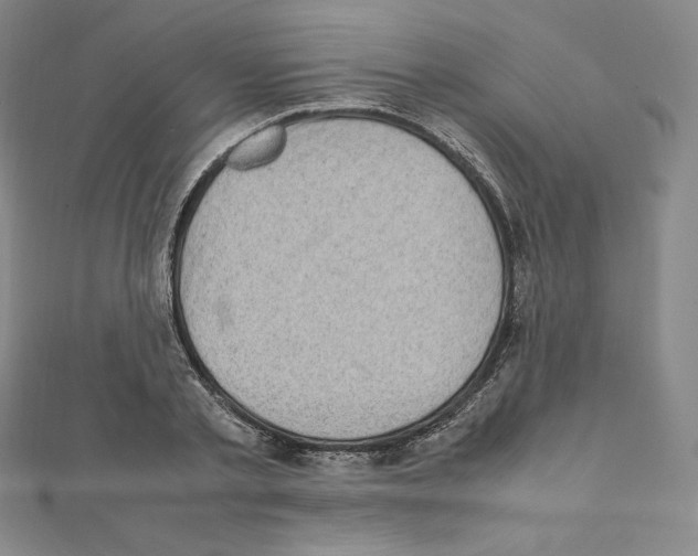 X0000111470789200908241341