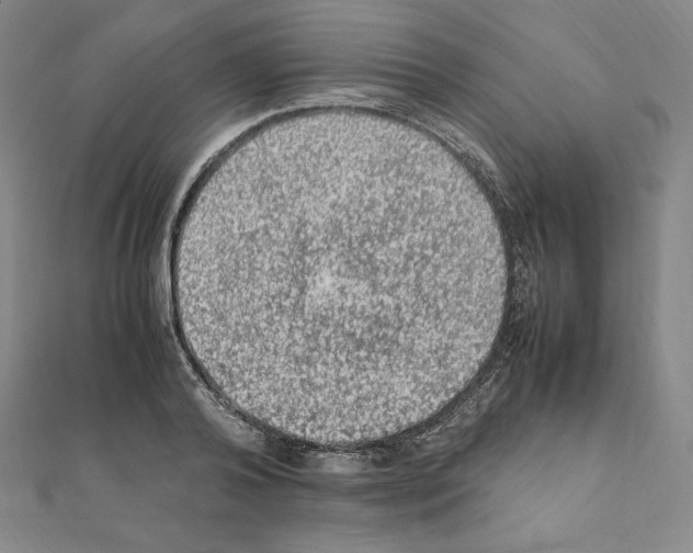 X0000111470792200908241341