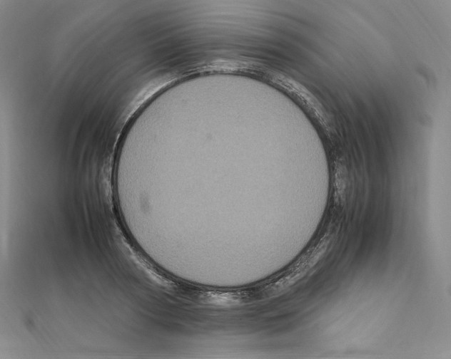 X0000111470794200908241341