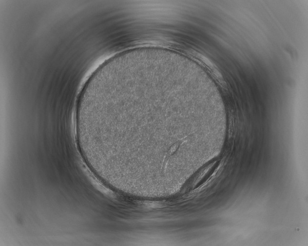 X0000111470796200908241341