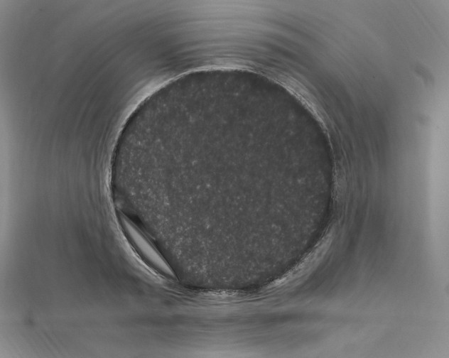 X0000111470797200908241341