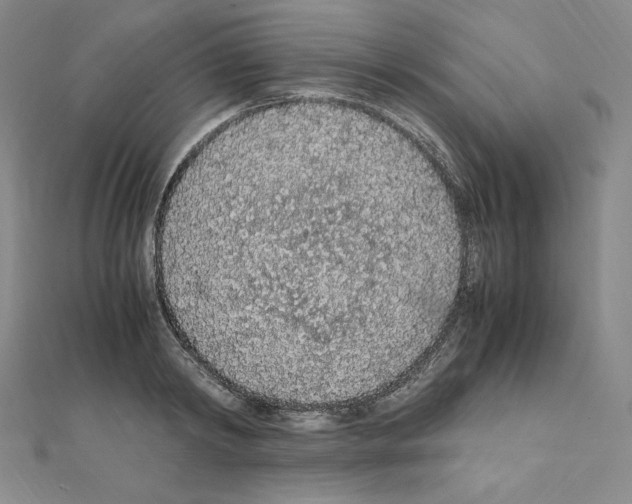 X0000111470798200908241341