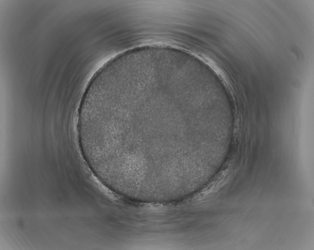 X0000111470799200908241341