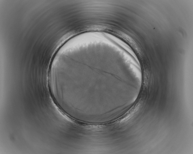 X0000111470802200908241340