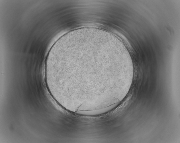 X0000111470804200908241340