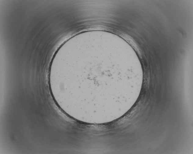 X0000111470805200908241340