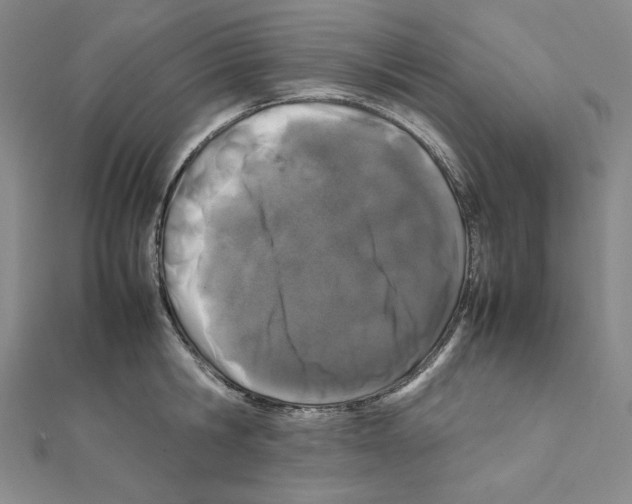 X0000111470806200908241340