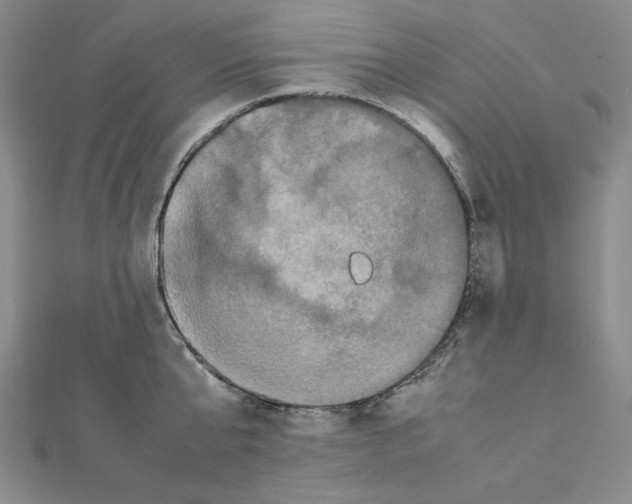 X0000111470807200908241340