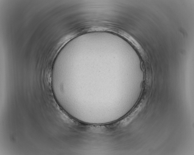 X0000111470809200908241340