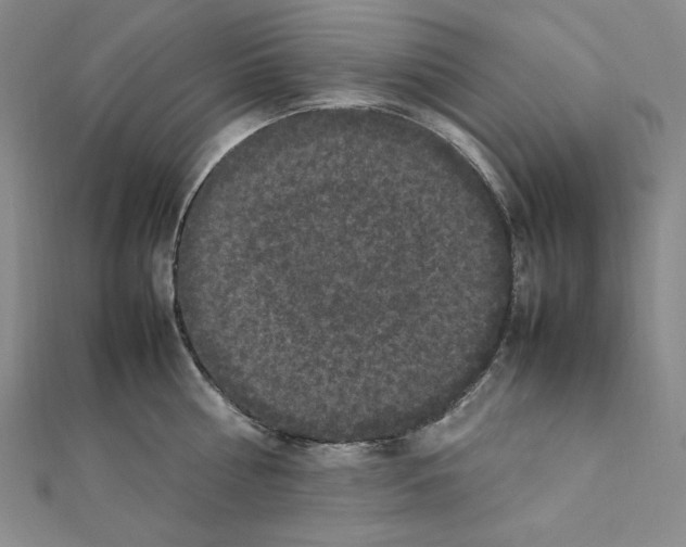 X0000111470810200908241340